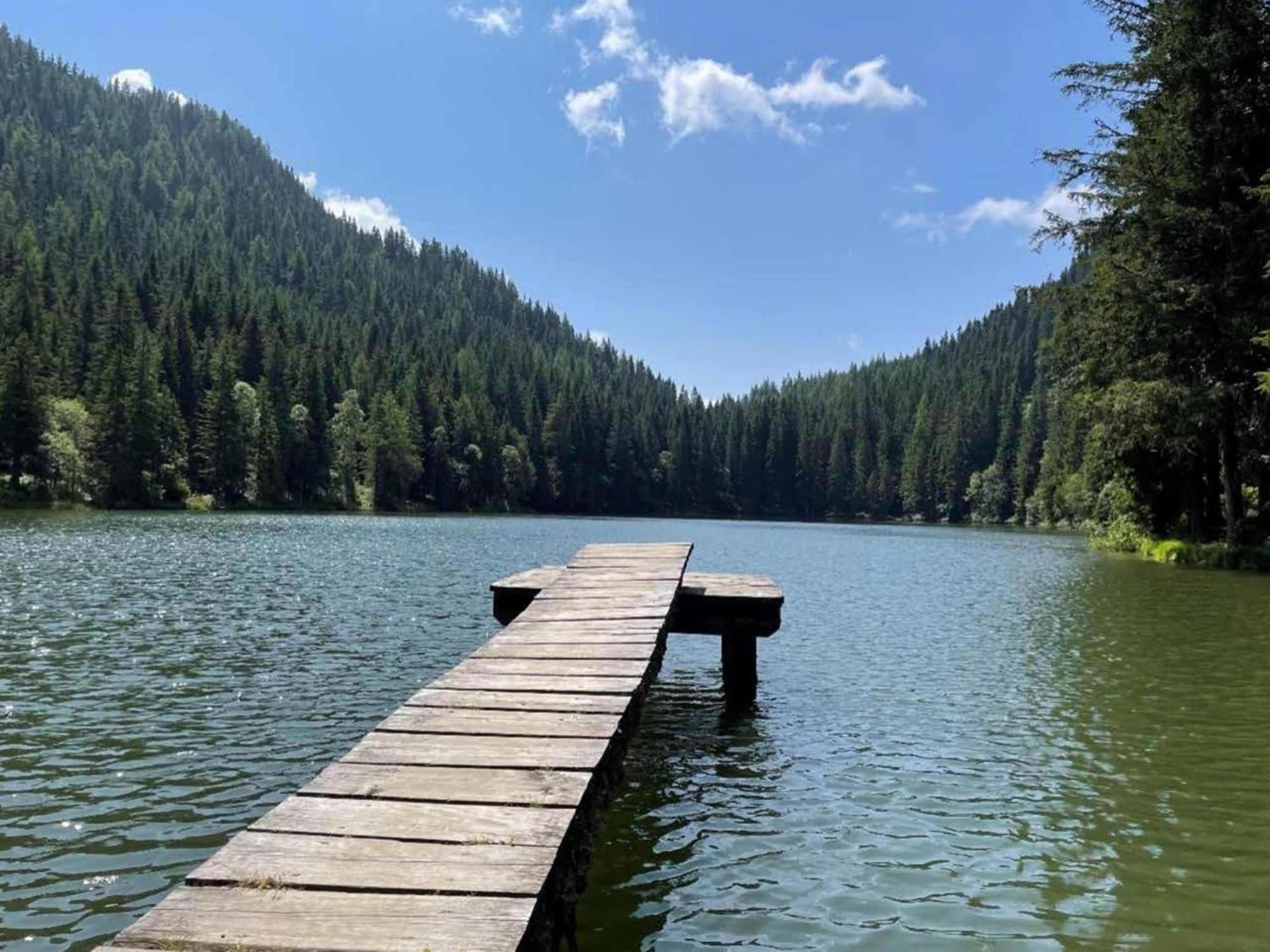 Grebenzen Top Chalet Mazzel Villa Sankt Lambrecht Bagian luar foto