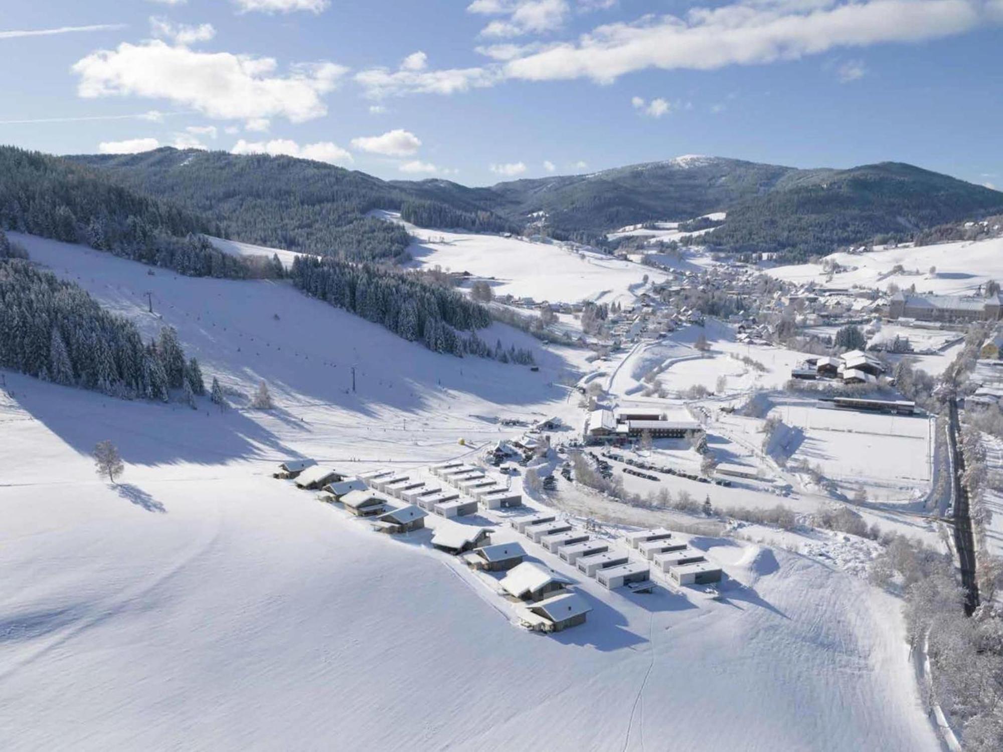 Grebenzen Top Chalet Mazzel Villa Sankt Lambrecht Bagian luar foto